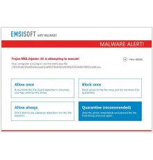 Emsisoft Anti-malware Home / 1 Year / 1 PC| Armenius Store
