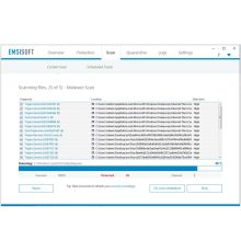  Emsisoft Anti-malware 1 PC 3 Year|armenius.com.cy