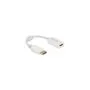 Adapter DisplayPort 1.1 male to HDMI female, passive