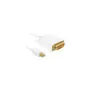 Adapterkabel Mini DisplayPort to DVI 24+1