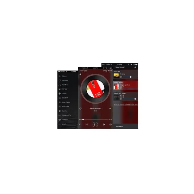Audiocast WIFI Multiroom Audio Receiver - M5 - WIFI Multiroom Audio Receiver — image 4