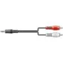 AV:link - 112.068UK - 3.5mm to 2RCA 10.0m