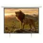 AV:Link Electric Screen - 952.322UK - 4:3 100' 2.0x1.5