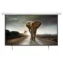 AV:Link Electric Screen - 952.324UK - 16:9 100' 2.21x1.23