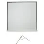 AV:Link Tripod Projector Screen - 4:3 - 100' - 2.0x1.5