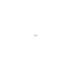 Canon A4 Carrier Sheet für DR-C230 C240 SF400