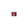 CARD 8GB CF CARD - CF170 - CompactFlash, 8GB, 90 MB/s read, 60 MB/s write