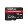 CARD EXPRESS MICRO 256GB - microSD memory card