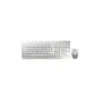 Cherry DW 8000 Wireless RF Full-Size QWERTZ Keyboard with Mouse - Silver/White