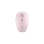 Cherry GENTIX BX Kirschblüte - GENTIX BX -