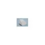 Cherry Medical Active Key - AK-PMH21 - Wireless Ambidextrous Mouse, White, RF 2.4 GHz, 2×AAA