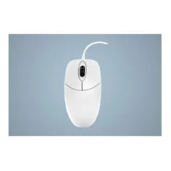 Cherry Medical Active Key Mouse - AK-PMJ1 - Wired USB, White