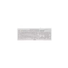 CHERRY TAS STREAM - 3.0 -