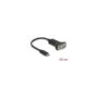 Delock Adapter USB Type-CTM zu 1 x Seriell RS-232 D-Sub 9 Pin Stecker mit Muttern 25 cm