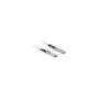 Delock Aktives Optisches Kabel QSFP+ 5 m