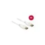 DELOCK DisplayPort 1.2 Cable - White, 2 m, 4K