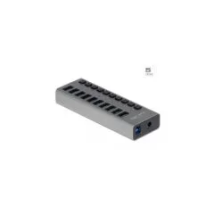 DELOCK External SuperSpeed USB Hub - 10-Port with On/Off Switch