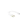 Delock Headset Adapter 1 x 3.5 mm 4 Pin Klinkenbuchse to 2 x 3.5 mm 3 Pin Klinkenstecker