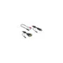 Delock Kabel DVI - HDMI + Sound Stecker-Stecker 2 m