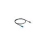 Delock Kabel HSD Z Stecker zu RJ45 Stecker 1 m