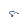 Delock Keystone Modul USB 5 Gbps A Buchse zu USB Type-CTM Stecker mit Kabel