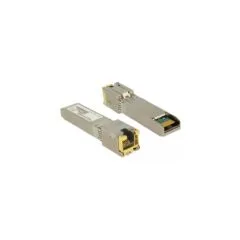 Delock SFP+ Module 10GBase-T RJ45