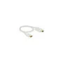 DeLOCK Videokabel - DisplayPort HDMI - 1 m