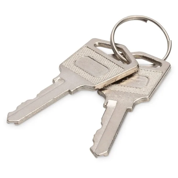 Digitus Locker Locking Keys for Loading Lockers - 347329 - Silver, 2 pcs — image 1