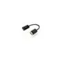 DP to HDMI Converter - 40363 - Black, 0.25 m, DP Male to HDMI Female, 4K