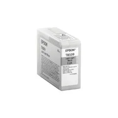Epson C13T850900 light black