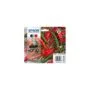 Epson Ink 503 - C13T09Q64010 - 4-pack (BKMCY) up to 165 pages