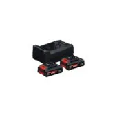EXPERT Starter Set - 2x EXBA 18V-40 + GAL 12V 18V-80 Dual-Voltage Charger