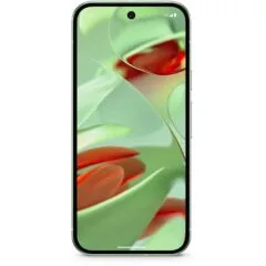 Google Pixel - Pixel 9 - 128GB 12RAM 5G Wintergreen