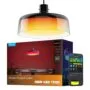 Govee Lamp Ceiling Smart LED Pendant Light - H60C13F1 - RGBICWW + RGBICWW