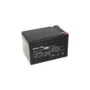Green Cell AGM07 12V 12Ah VRLA Replacement Battery
