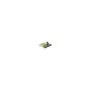 IDE Adapter IDE 40Pin - to CF Card I II