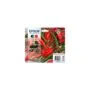 Ink Multipack - C13T09R64010 - 503XL