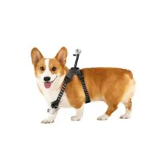 Insta360 Go 3 Go 3S Pet Harness Mount - Size M