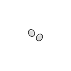 Insta360 Lens Guard - ONE X2 - Lens Protector