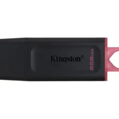 Kingston DataTraveler Exodia - DTX - 256GB USB 3.2 Gen1 (USB-A) - Black / Pink