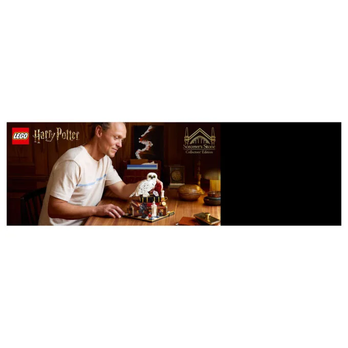 LEGO 76466 Harry Potter Stein der Weisen - Sammleredition — image 20