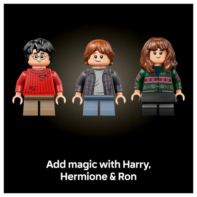 LEGO 76466 Harry Potter Stein der Weisen - Sammleredition — image 27