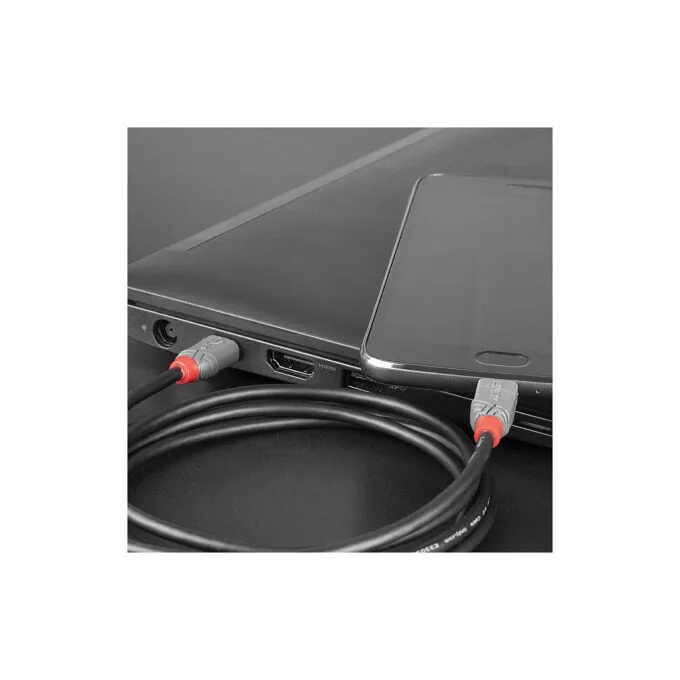 LINDY USB 2.0 Kabel Typ C Micro-B Anthra Line M M 0.5m — image 3