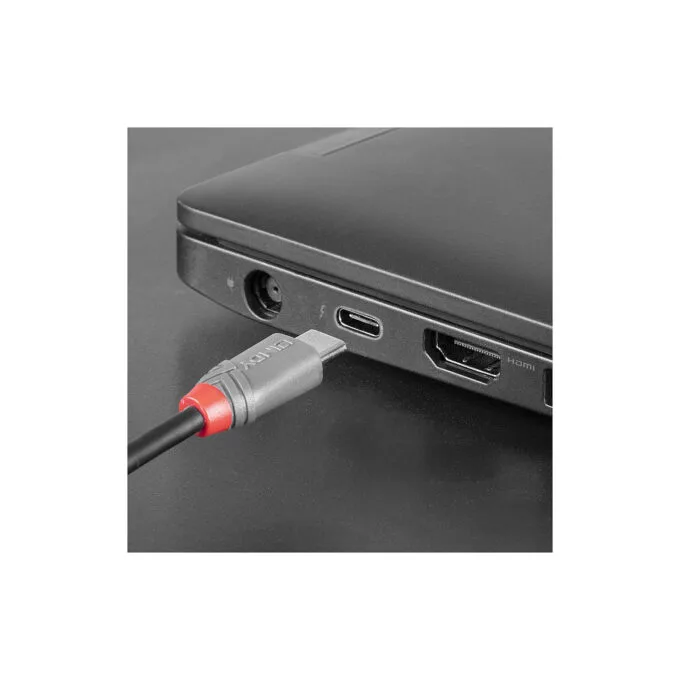 LINDY USB 2.0 Kabel Typ C Micro-B Anthra Line M M 0.5m — image 5