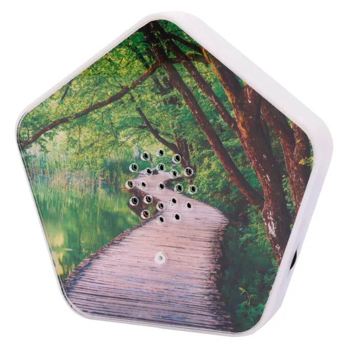 Olympia Sound of Nature Box 1 Stk. — image 4
