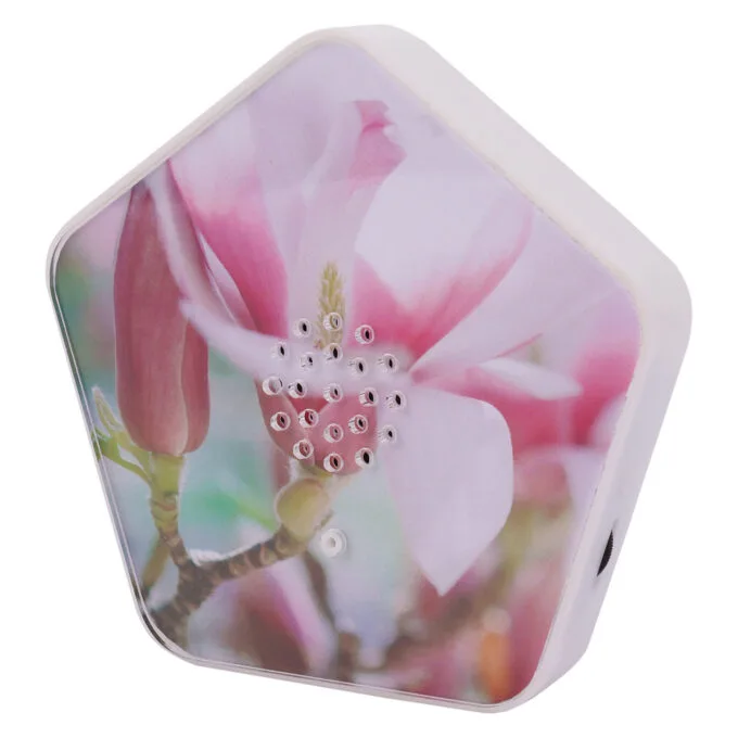 Olympia Sound of Nature Box 1 Stk. — image 8