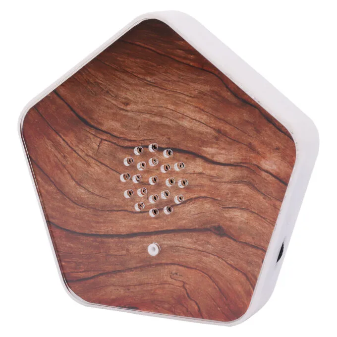 Olympia Sound of Nature Box 1 Stk. — image 10