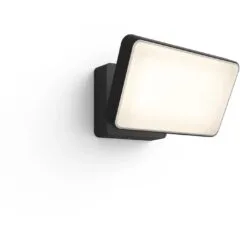 Philips Hue White Welcome Floodlight