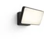 Philips Hue White Welcome Floodlight