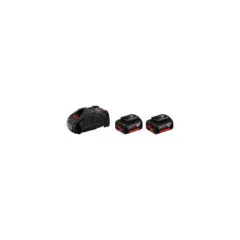 PRO Starter-Set 18V (2x GBA 18V 5.0Ah + GAL 1880 CV Professional), Ladegerät